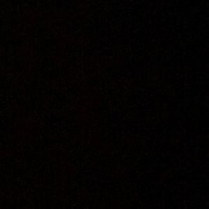 Meet your Posher, Riley